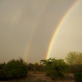 rainbow02.jpg