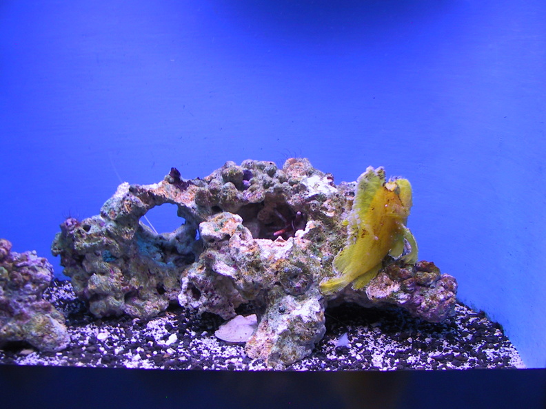 aquarium_026.jpg
