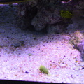 aquarium 023