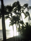 Hawaii 2005