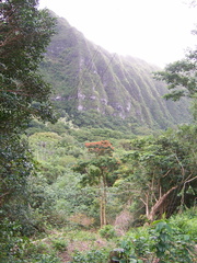 hawaii2008 237