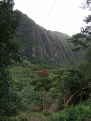hawaii2008 236