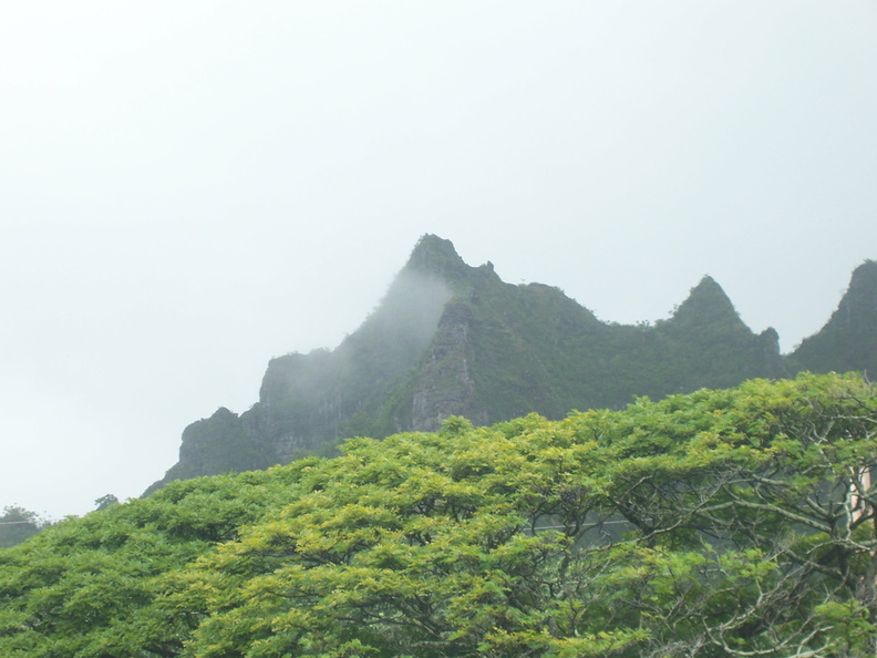 hawaii2008 126