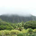 hawaii2008 125