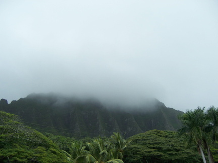 hawaii2008 124