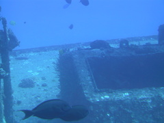 submarine_031.jpg