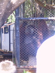 Waikiki Zoo